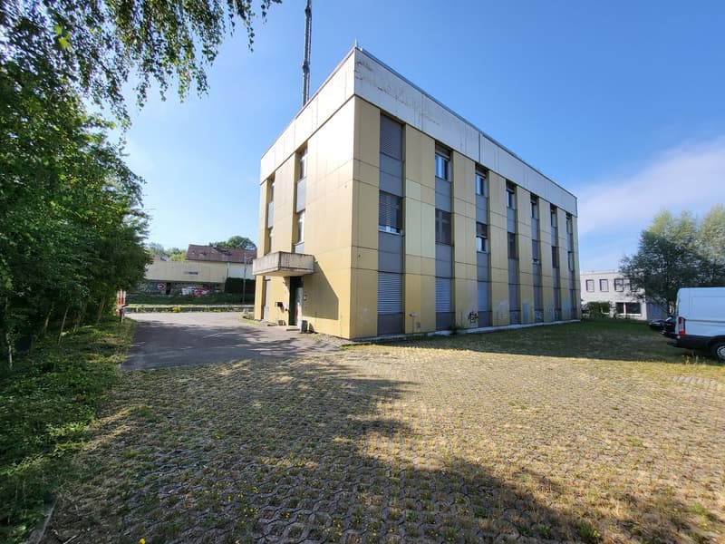 yellow commercial building, concrete driveway, metal shutters, several windows, front yard
