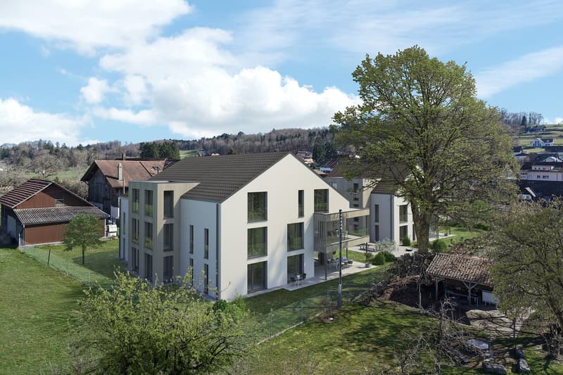 TOP OFFER! - 3.5 room ground floor apartment in Arch (9)