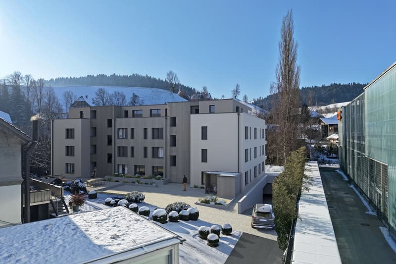 Your Chance; - 3.5 rooms - Owner-occupied apartments *ar Ilfis* ... (11)