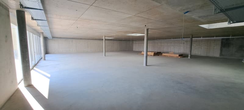 Local commercial et/ou bureau / Gewerberaum und/oder Büro (7)