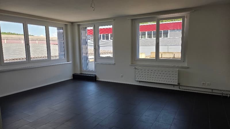 Grosszügige 4.5-Zimmer-Wohnung mit grosser Terrasse – ideal für Paare oder WG (3)