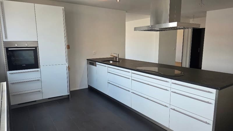 Moderne Büro-/Gewerbefläche mit grosser Terrasse im WeberPark (2)