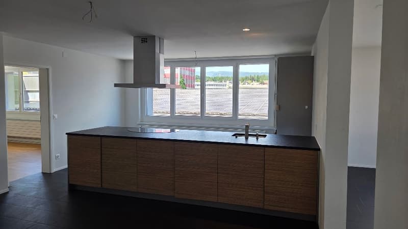 Moderne Büro-/Gewerbefläche mit grosser Terrasse im WeberPark (3)