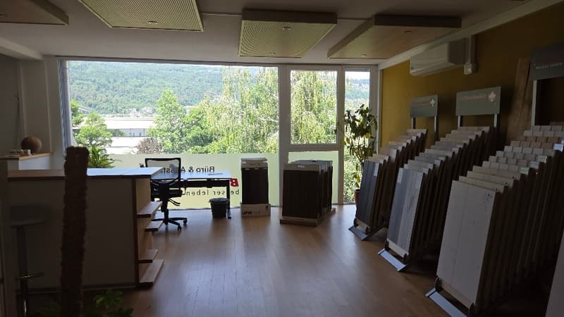 Repräsentative Büro- und Ausstellungsfläche (1)