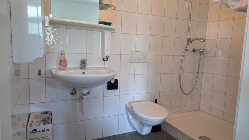 Repräsentative Büro- und Ausstellungsfläche (8)