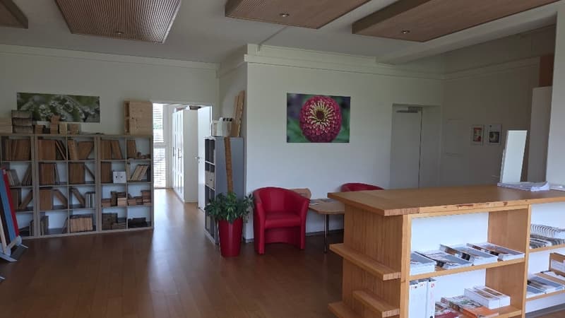 Repräsentative Büro- und Ausstellungsfläche (3)