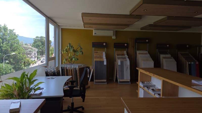 Repräsentative Büro- und Ausstellungsfläche (2)