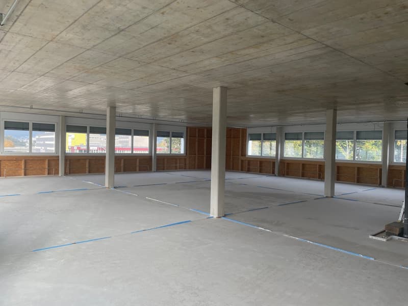 Flexible Gewerbeäumlichkeiten / Locaux commerciaux modulables (3)