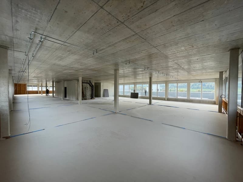 Flexible Gewerbeäumlichkeiten / Locaux commerciaux modulables (4)