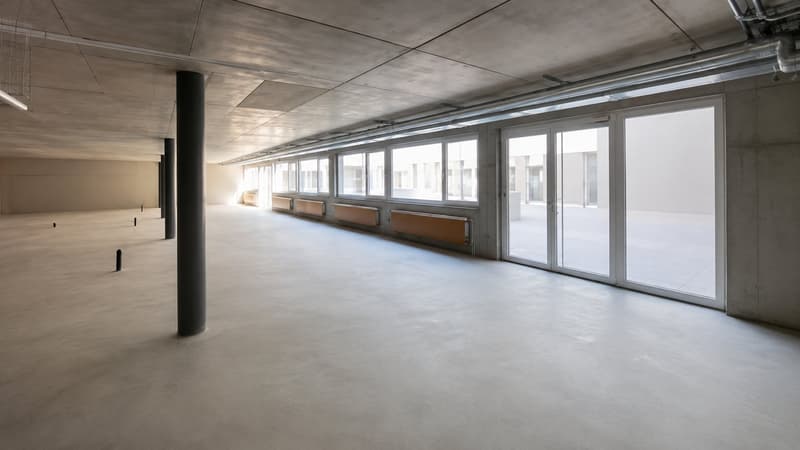Local commercial, bureau et entrepôt / Gewerberaum, Büro und Lager (2)