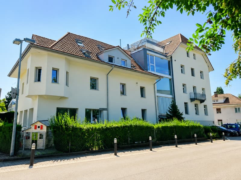 3.5 Zimmer-Dachwohnung mit Galerie und grosser Terrasse (7)
