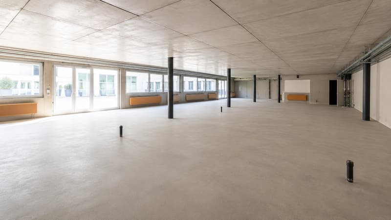 Local commercial, bureau et entrepôt / Gewerberaum, Büro und Lager (1)