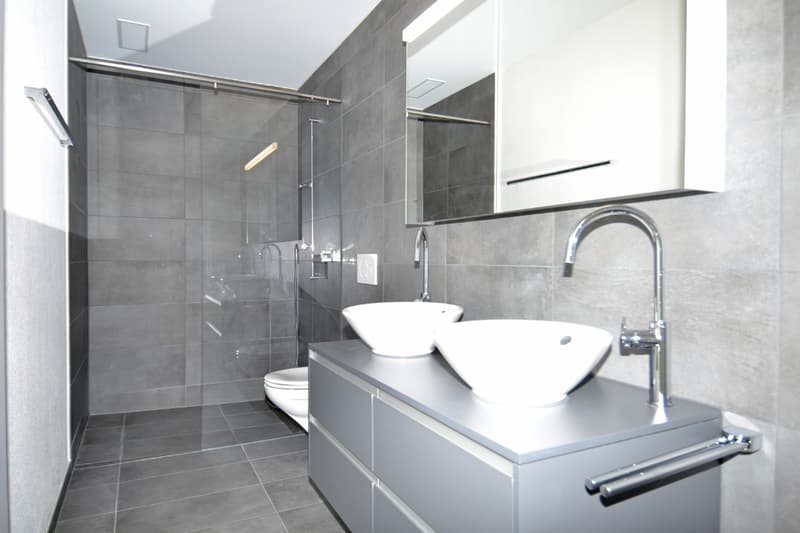 5.5 Zi-WHG - Dusche 1