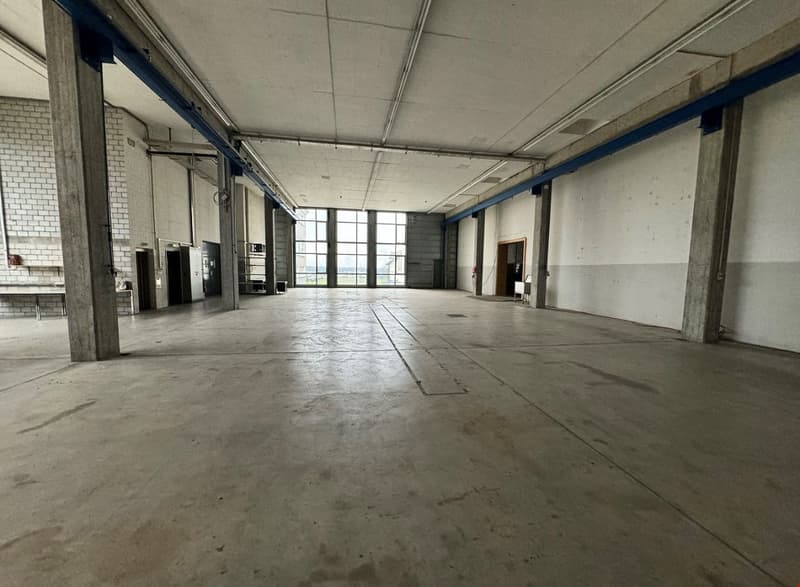 Empty large warehouse with concrete floor, metal beams, brick wall, windows, doors