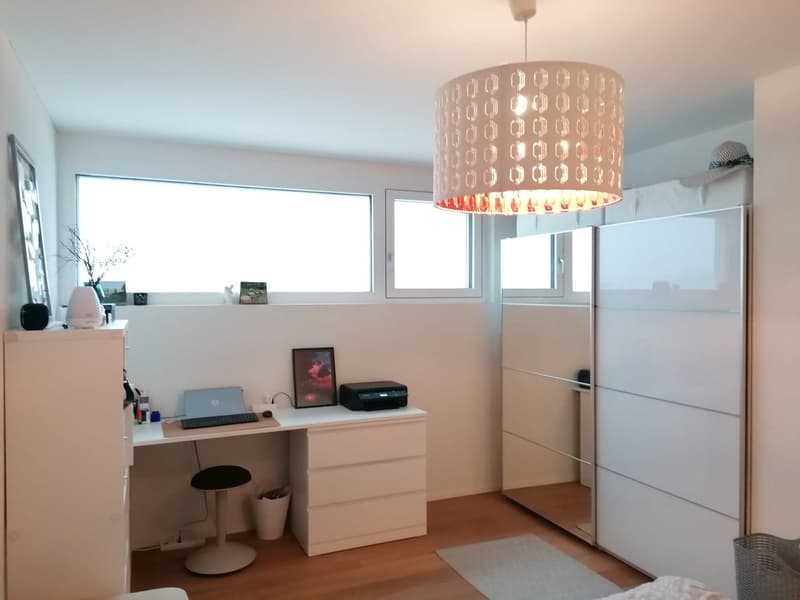 Neue 2.5-Zimmer Attikawohnung mit herrlicher Aussicht (2)