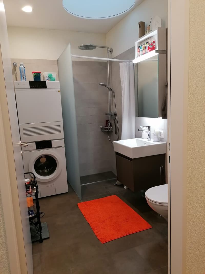 Neue 2.5-Zimmer Attikawohnung mit herrlicher Aussicht (5)