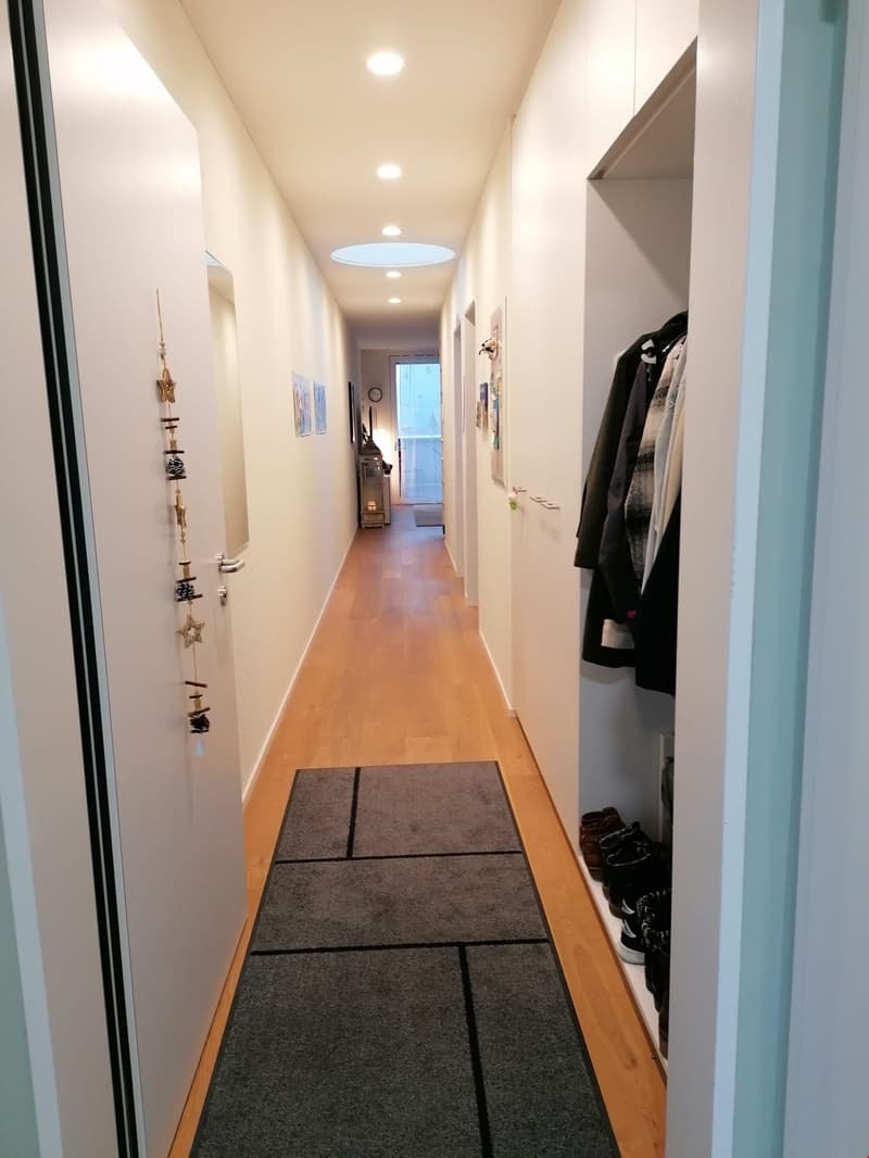 Neue 2.5-Zimmer Attikawohnung mit herrlicher Aussicht (4)