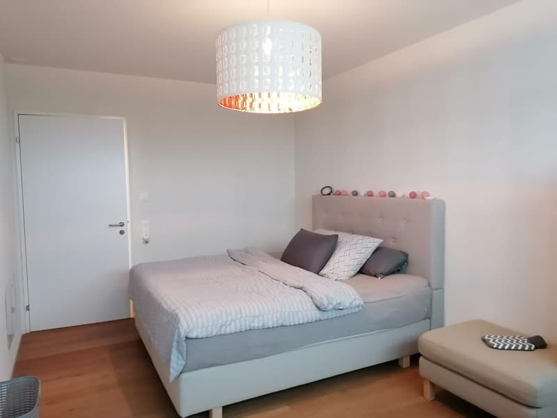 Neue 2.5-Zimmer Attikawohnung mit herrlicher Aussicht (3)
