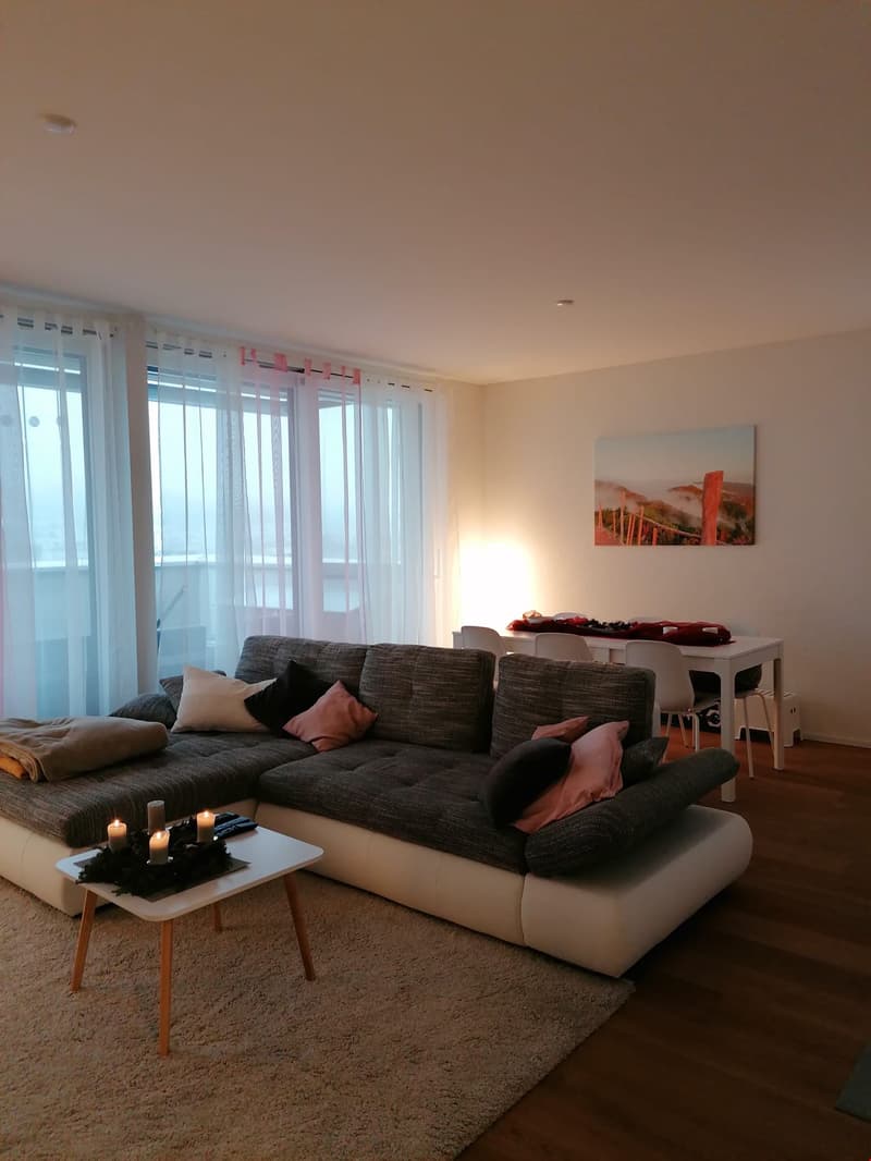 Neue 2.5-Zimmer Attikawohnung mit herrlicher Aussicht (6)