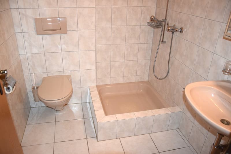 Bathroom with toilet, shower, and sink