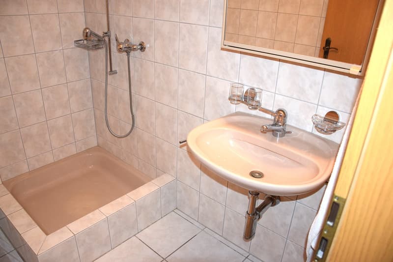 Bathroom with shower, sink, and mirror