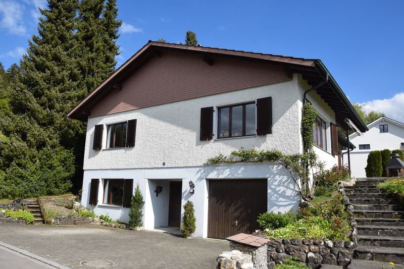 Aussenansicht EFH