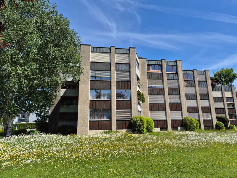 Aussenansicht MFH