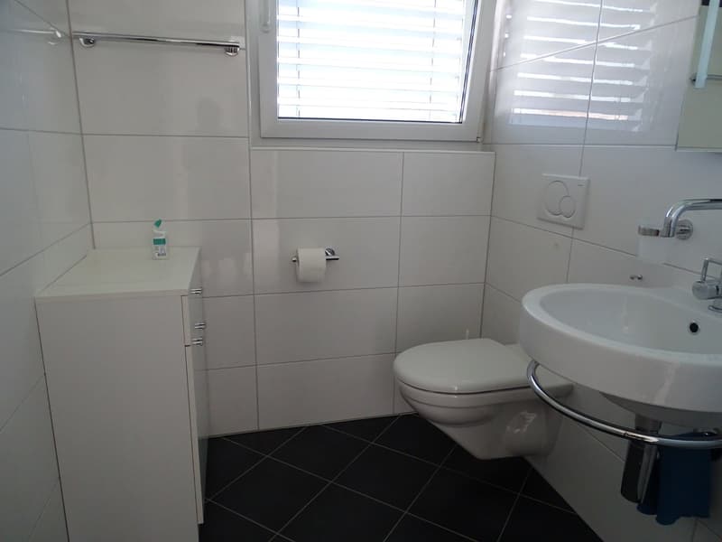 white tiled walls, white ceramic sink, white toilet, toilet paper, white cabinet, black tiled floor