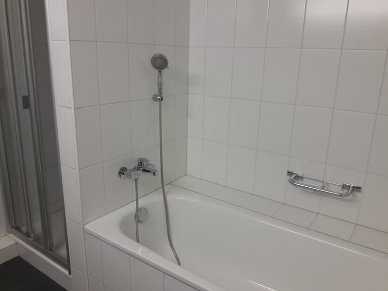 Charmant appartement 4.5 pièces dans un immeuble ancien avec balcon (6)
