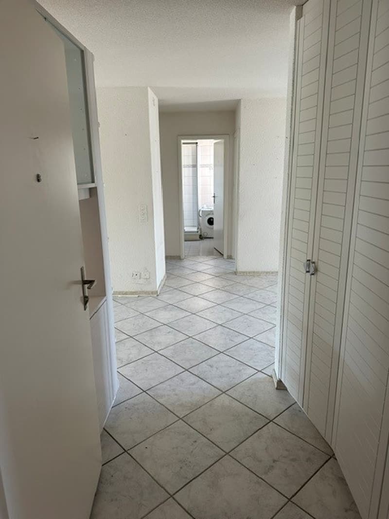 Schöne 4.5-Zimmer-Wohnung mit 2 Balkonen, Keller und Einstellhallenplatz (2)