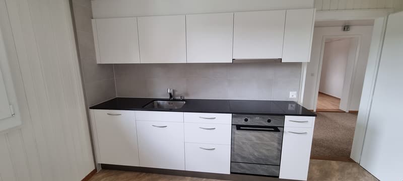 Renovierte 2.5-Zimmer-Dachwohnung mit Seeblick in Murten (3)