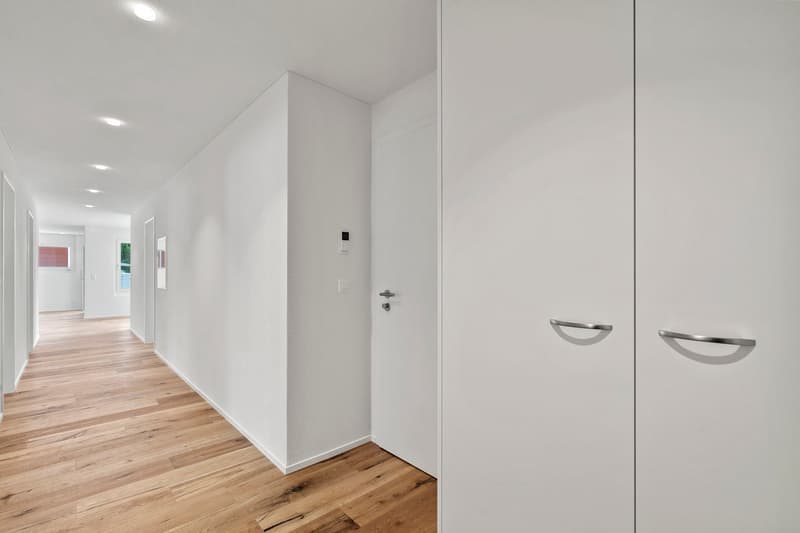 Exclusive & quiet: Modern 4.5-room apartment in the heart of Sursee (7)