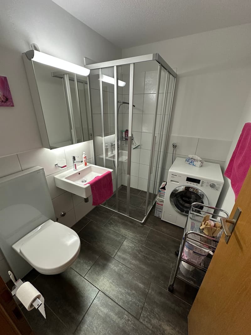 Spacious 4.5-room apartment with large gallery (80m2) and panoramic view in Zurzach (12)