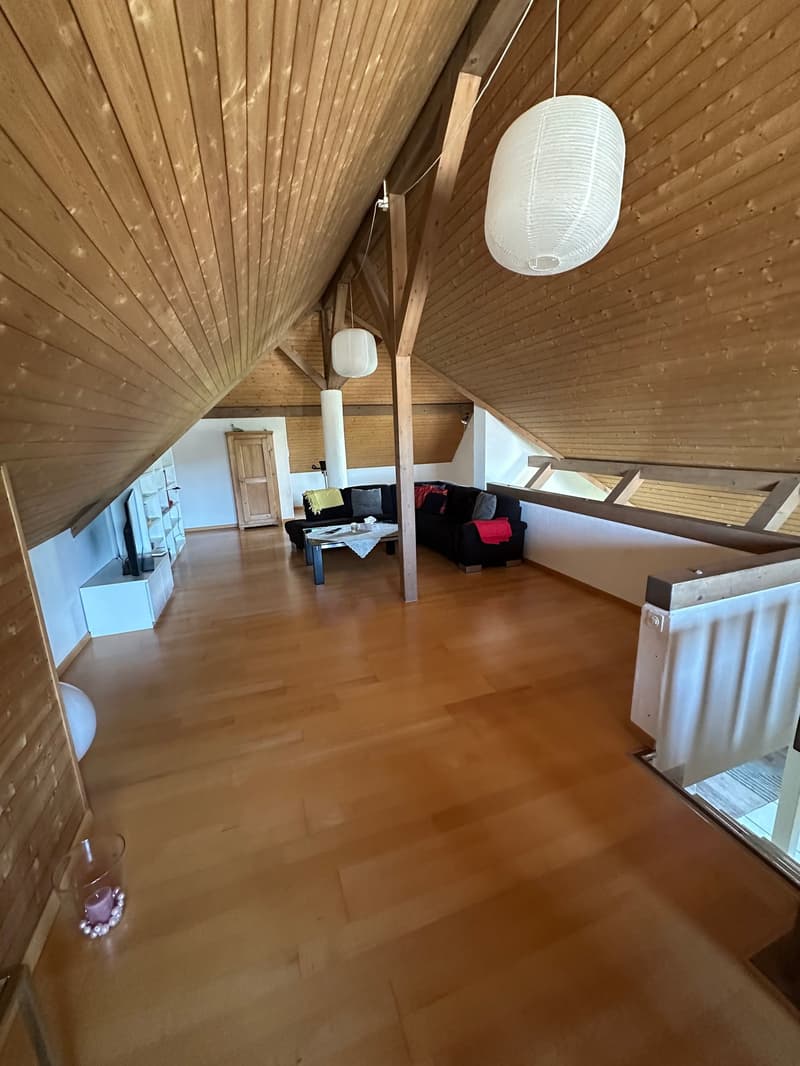 Spacious 4.5-room apartment with large gallery (80m2) and panoramic view in Zurzach (15)