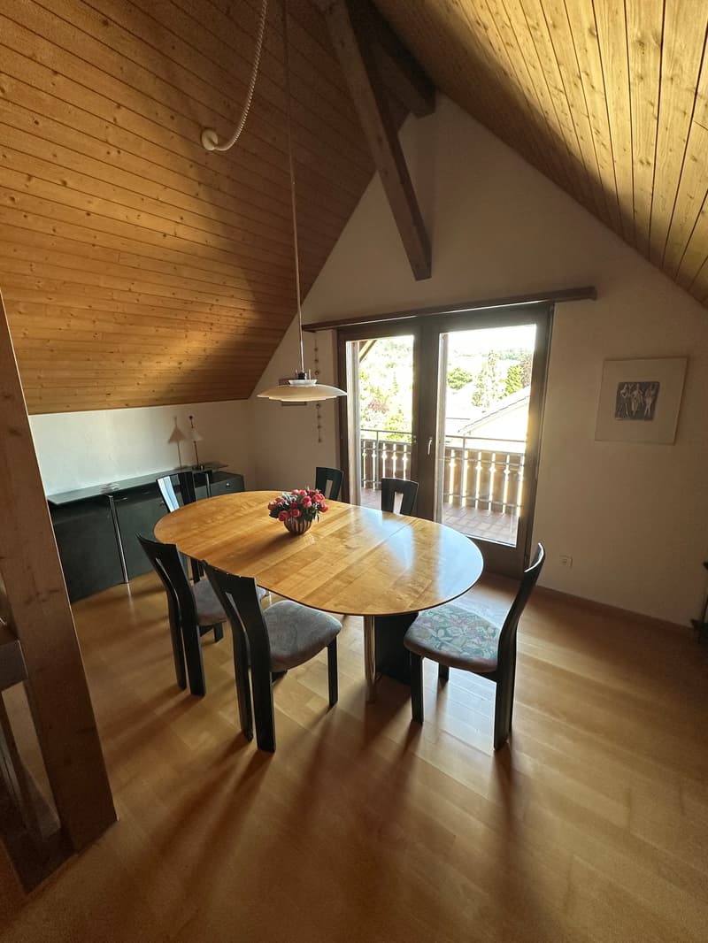 Geräumige 4.5-Zimmer Wohnung mit Riesengalerie (80m2) mit Panoramablick in Zurzach (14)