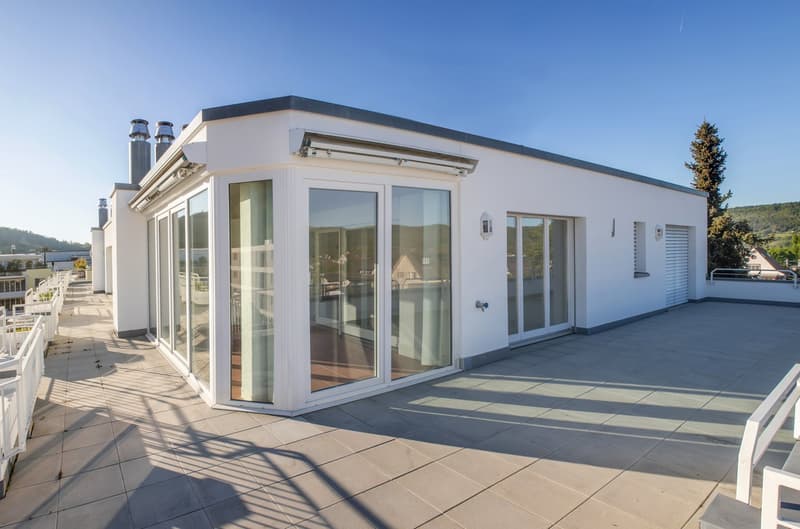 High-quality 6-room attic apartment with panoramic views (11)