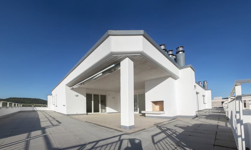 High-quality 6-room attic apartment with panoramic views (13)