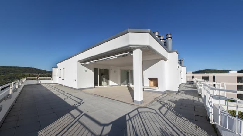 High-quality 6-room attic apartment with panoramic views (12)