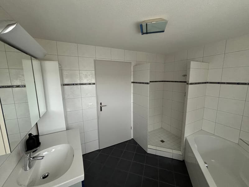 Unique single-family house plus large 2.5 room apartment (12)