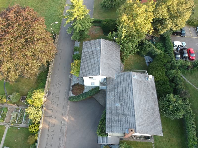Unique single-family house plus large 2.5 room apartment (13)