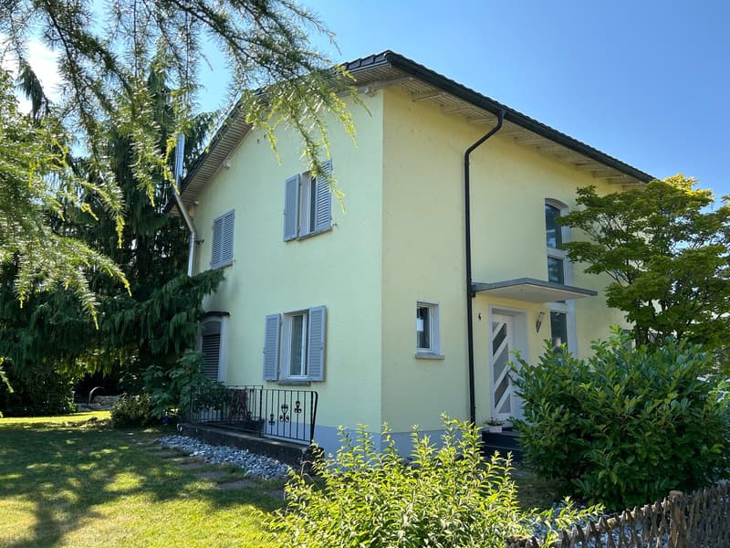 Unique single-family house plus large 2.5 room apartment (2)