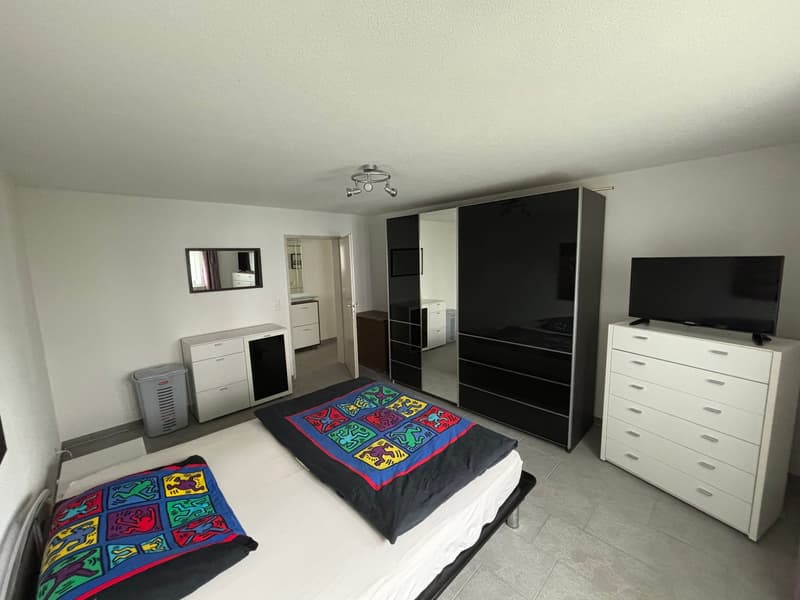 Unique single-family house plus large 2.5 room apartment (7)