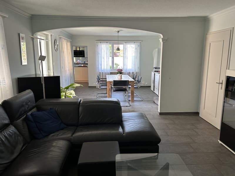 Unique single-family house plus large 2.5 room apartment (3)