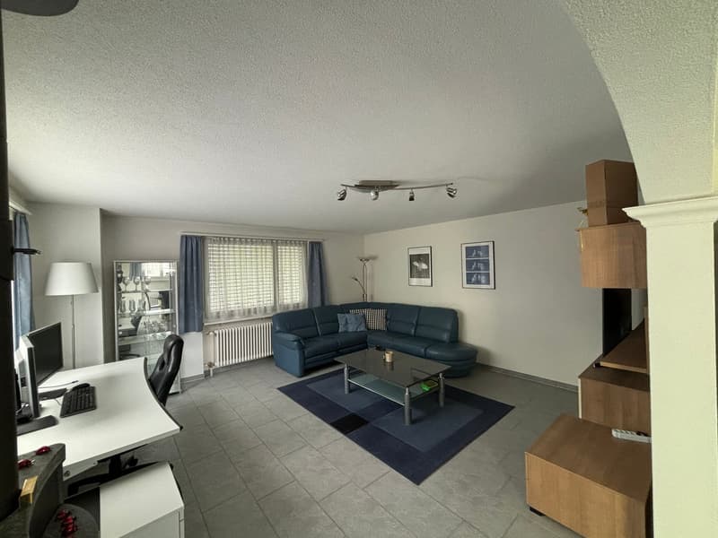Unique single-family house plus large 2.5 room apartment (10)