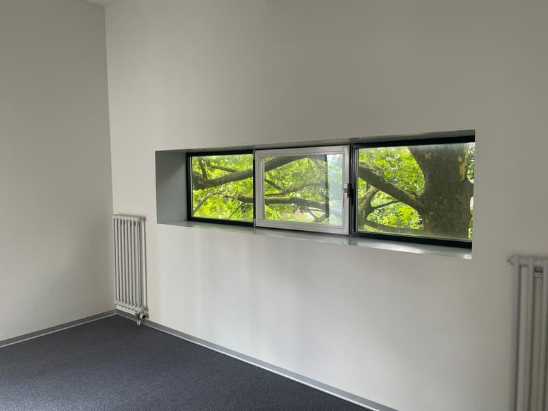 Bureaux modernes et lumineux à proximité de Baden AG (8)