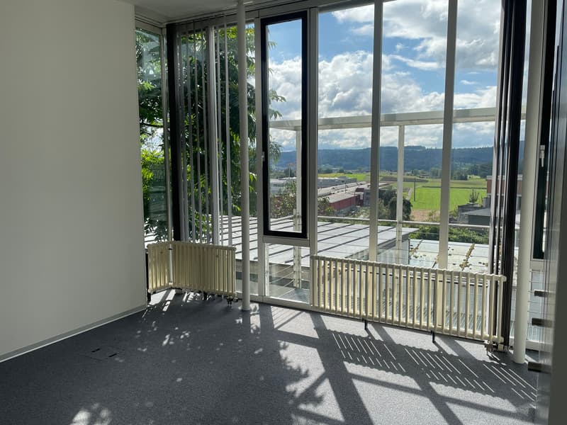 Bureaux modernes et lumineux à proximité de Baden AG (3)