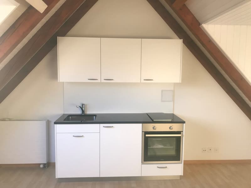 Studio Dachwohnung (1)