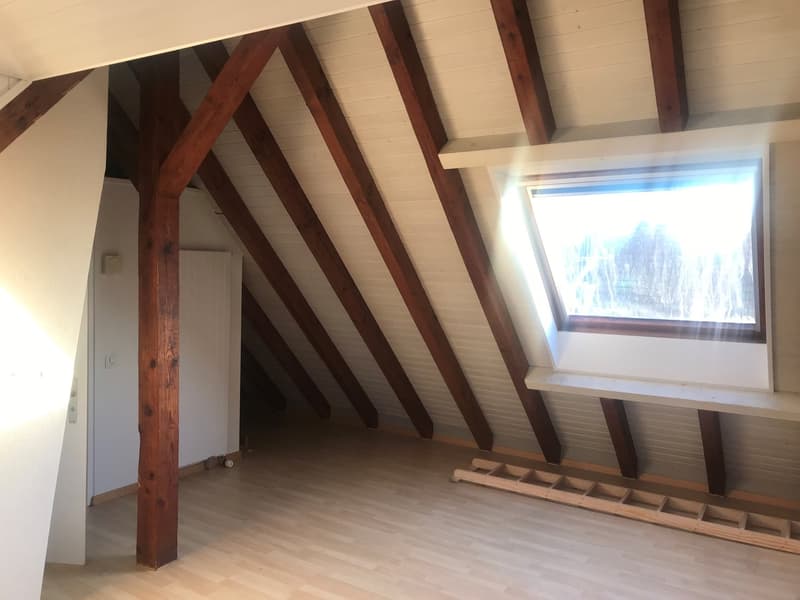 Studio Dachwohnung (4)