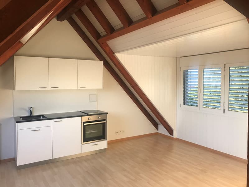 Studio Dachwohnung (2)