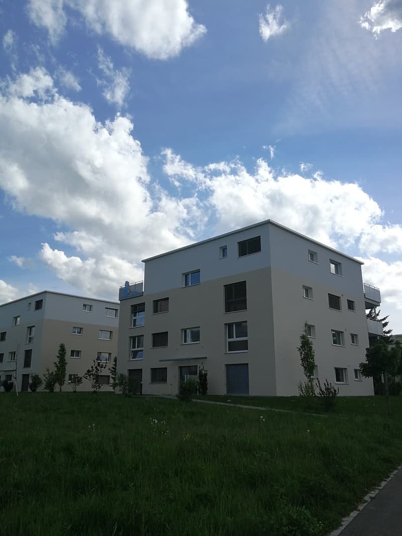 Modern 3.5-room ground-floor apartment in Lupfig (3)